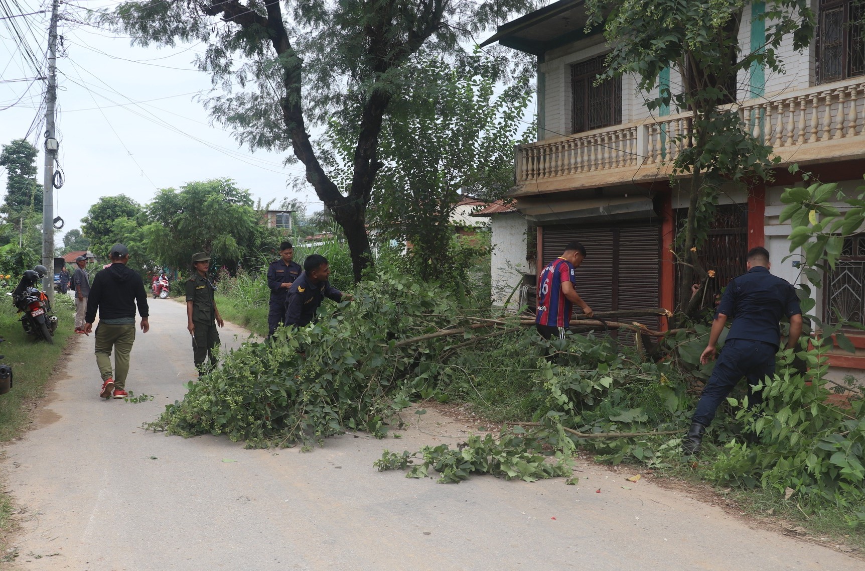 रामपुरमा दुर्घटना न्यूनिकरणका लागि सडक छेउका रुख कटान